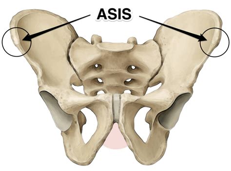 ASIS .